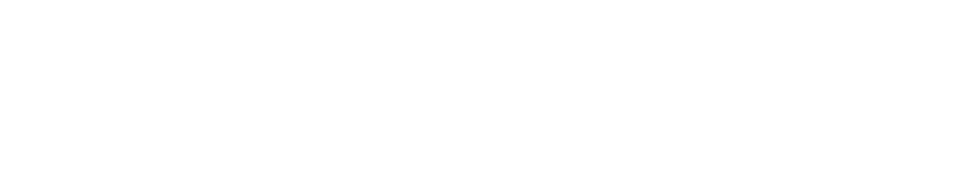 Leo Numismatics